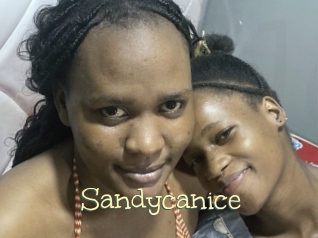 Sandycanice